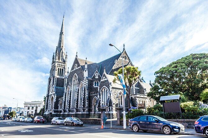 Dunedin 4 Hrs halfday Private Tour - What Past Travelers Say