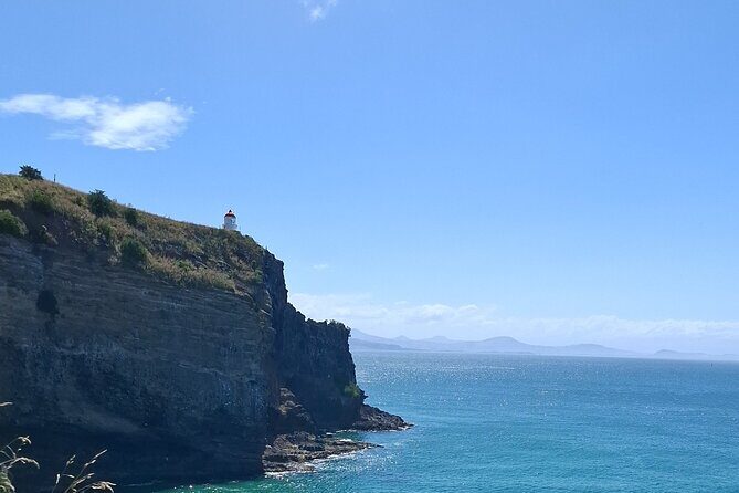 Dunedin and Otago Peninsula Private Tours Up to 4 people - Key Points