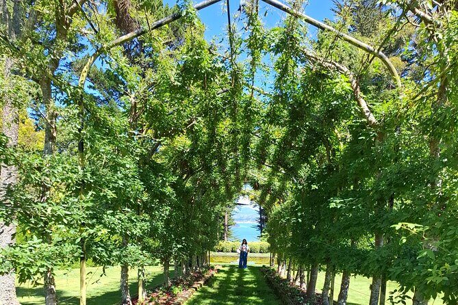 Dunedin and Otago Peninsula Private Tours Up to 4 people - An Honest Breakdown of the Itinerary