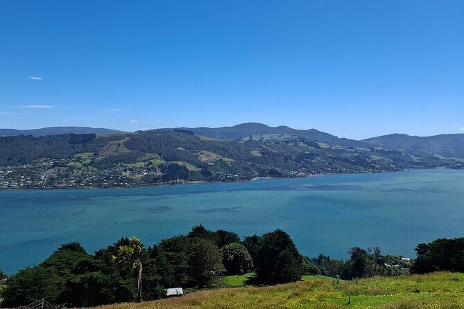 Dunedin and Otago Peninsula Private Tours Up to 4 people - Who Should Consider This Tour?