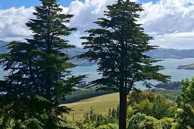 Dunedin and Otago Peninsula Private Tours Up to 4 people - FAQ