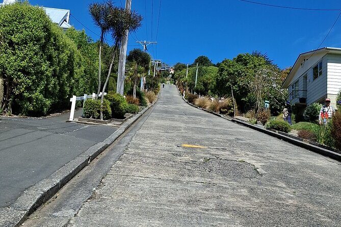 Dunedin and Otago Peninsula Private Tours Up to 4 people - Final Thoughts