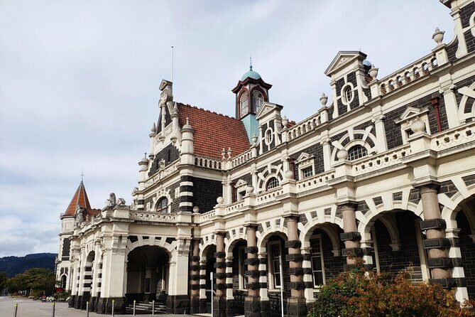 Dunedin City and Coastal Views 3-Hour Small-Group Guided Tour - Key Points