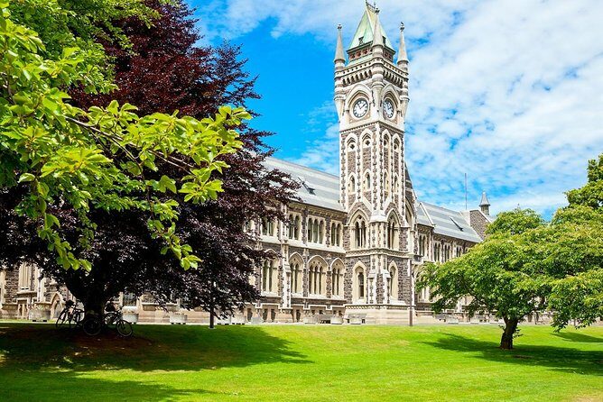 Dunedin City and Coastal Views 3-Hour Small-Group Guided Tour - A Detailed Look at the Tour Experience