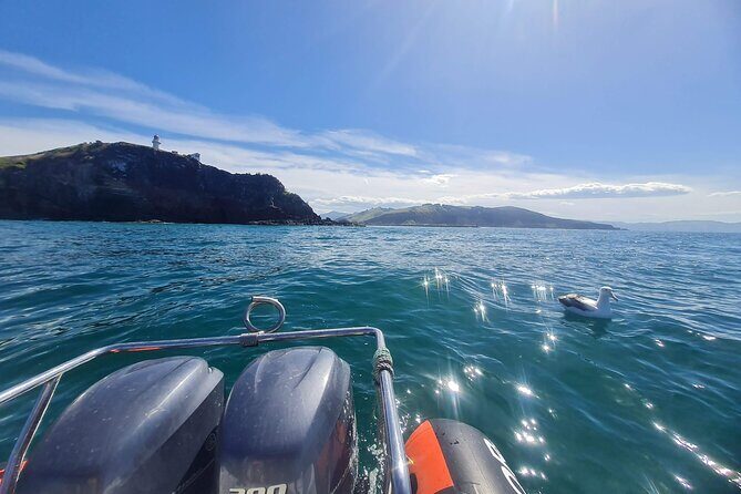 Dunedin City and Coastal Views 3-Hour Small-Group Guided Tour - FAQ