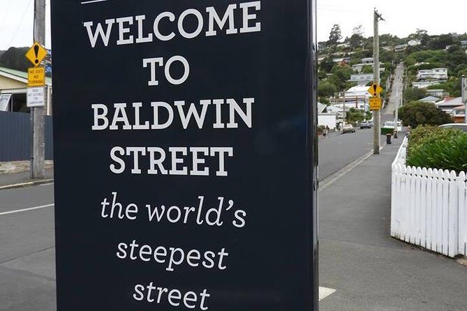 Dunedin City Highlights, Otago Peninsula Scenery & Albatross Guided Tour - An In-Depth Look at the Tour Itinerary