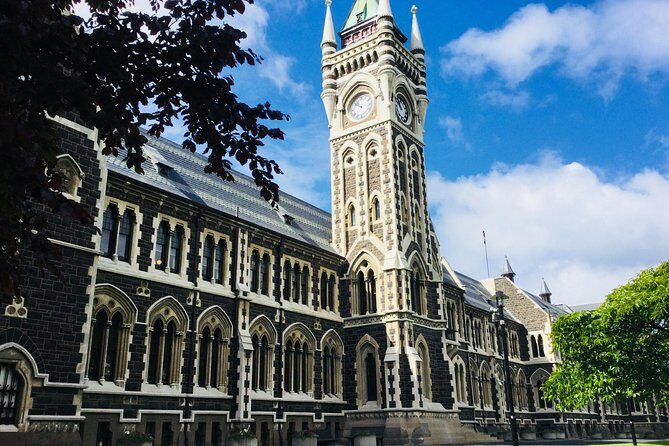 Dunedin City Highlights, Otago Peninsula Scenery & Albatross Guided Tour - The Sum Up: Is It Worth It?