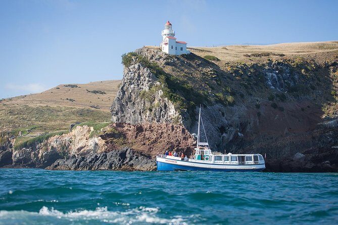 Dunedin City to Sea Wildlife Cruise + Peninsula Bus Tour - A Deep Dive into the Otago Peninsula Wildlife Cruise & Bus Tour