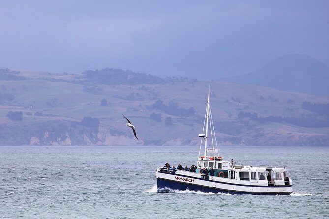 Dunedin City to Sea Wildlife Cruise + Peninsula Bus Tour - Who Should Consider This Tour?