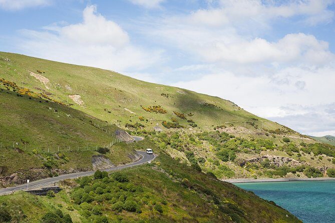Dunedin City to Sea Wildlife Cruise + Peninsula Bus Tour - Final Thoughts