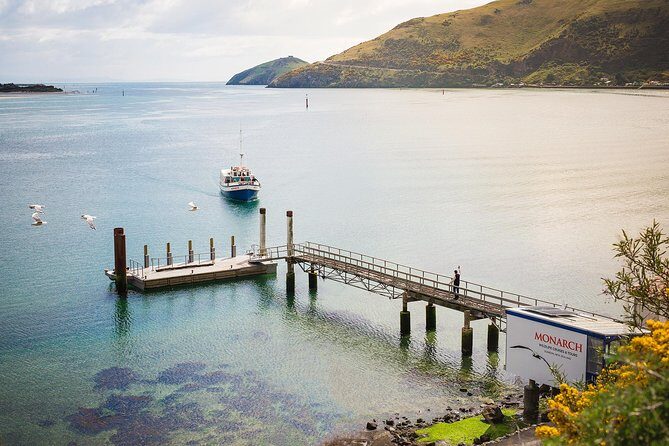 Dunedin City to Sea Wildlife Cruise + Peninsula Bus Tour - FAQ