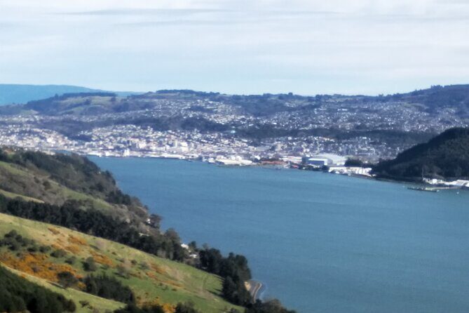 Dunedin City, Wildlife and Larnach Castle - Final Thoughts