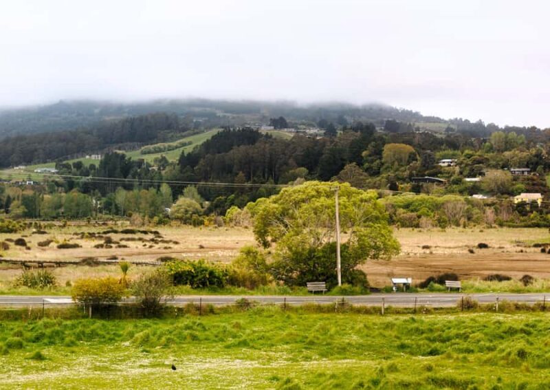 Dunedin Cruise Excursion: Express Coastline Rail Tour - Key Points