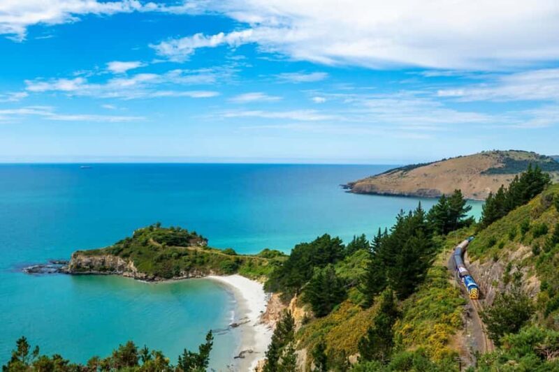 Dunedin Cruise Excursion: Express Coastline Rail Tour - What Do Past Travelers Say?