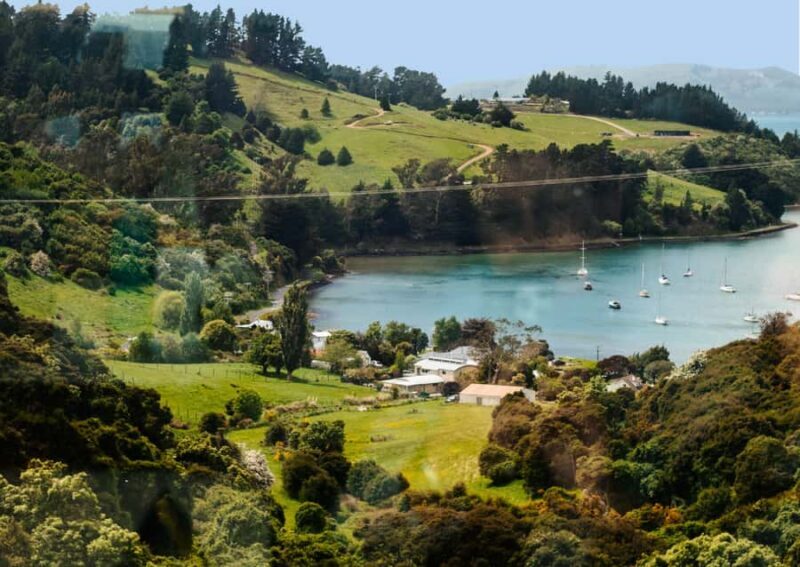 Dunedin Cruise Excursion: Express Coastline Rail Tour - Who Is This Tour Best For?
