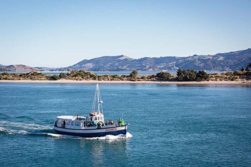 Dunedin: Monarch - One Hour Wildlife Cruise - What to Expect on the Monarch Wildlife Cruise
