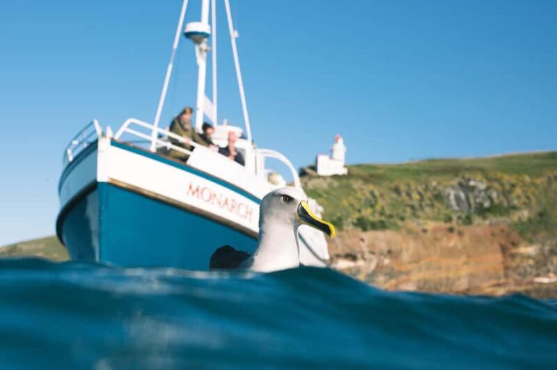 Dunedin: Monarch - One Hour Wildlife Cruise - Reviews: What Travelers Say