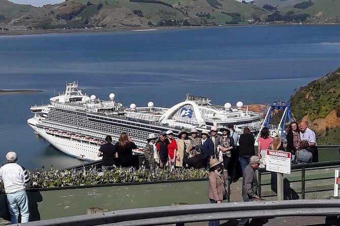 Dunedin Nature & City Tour Full Day Cruise Excursion - Key Points