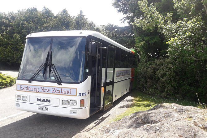 Dunedin Nature & City Tour Full Day Cruise Excursion - Exploring Dunedin: A city of contrasts and charm