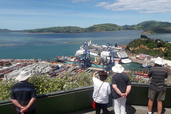 Dunedin Nature & City Tour Full Day Cruise Excursion - Wildlife and heritage