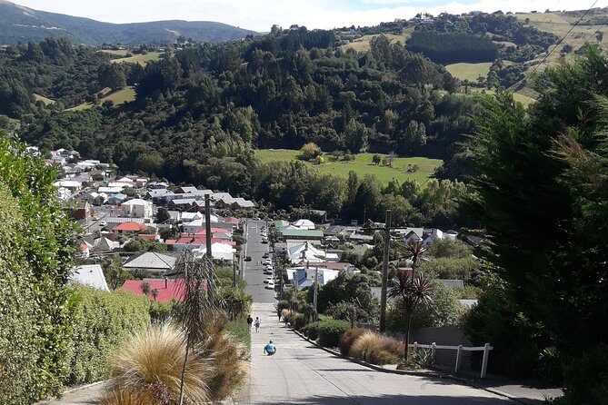 Dunedin Nature & City Tour Full Day Cruise Excursion - Larnach Castle or Sandfly Bay?