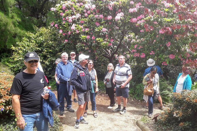 Dunedin Nature & City Tour Full Day Cruise Excursion - Scenic viewpoints and memorials