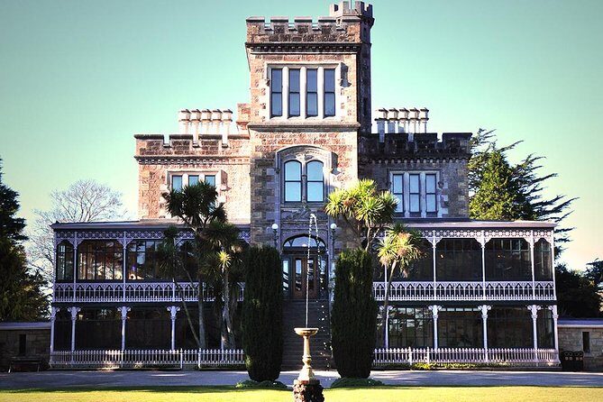 Dunedin Nature & City Tour Full Day Cruise Excursion - The Real Value of This Tour
