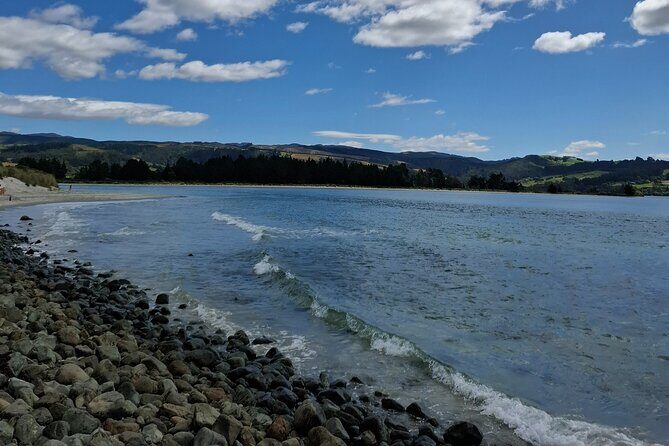Dunedin & North Otago Scenic & Wildlife Tour - The Sum Up