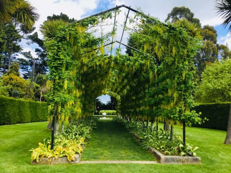 Dunedin: Peninsula with Lanarch Castle gardens & Olveston - Key Points