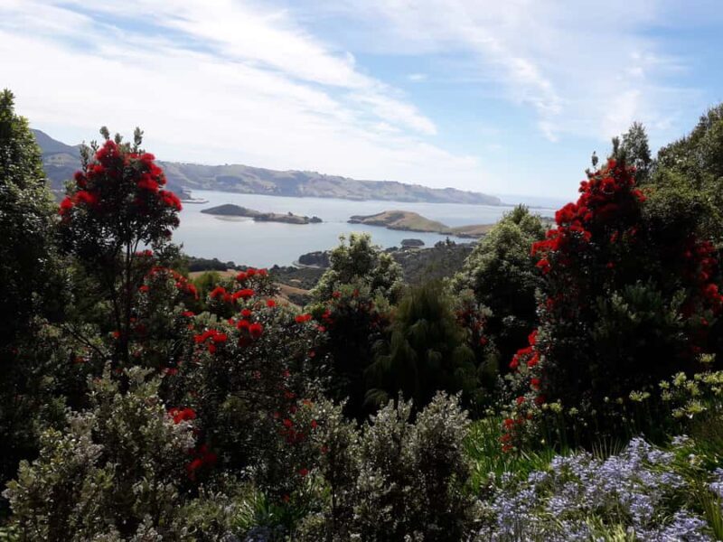 Dunedin: Peninsula with Lanarch Castle gardens & Olveston - Larnach Castle Gardens: A Garden Lover’s Paradise