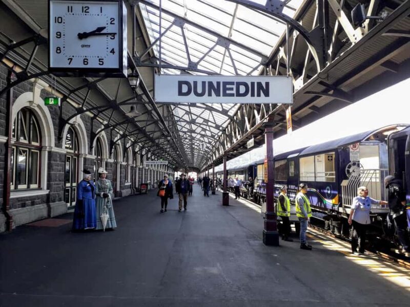 Dunedin: Peninsula with Lanarch Castle gardens & Olveston - Practicalities: What to Expect and How to Prepare