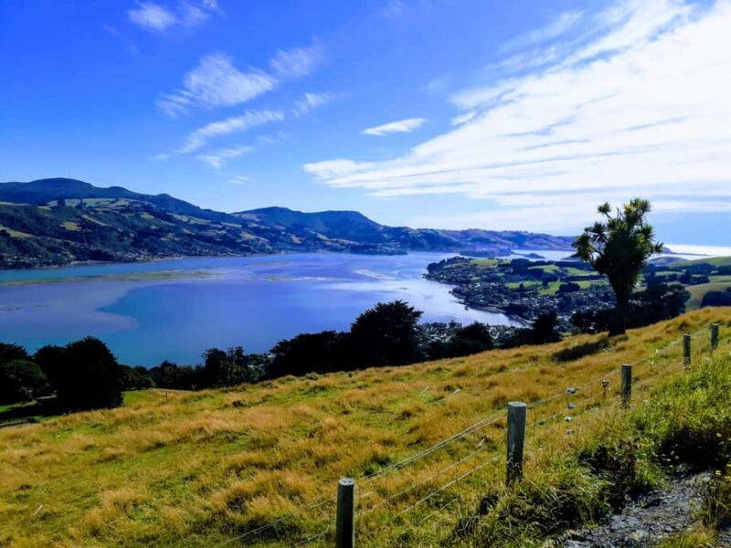 Dunedin: Peninsula with Lanarch Castle gardens & Olveston - The Sum Up: Who Will Love This Tour?