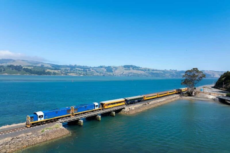 Dunedin: Scenic Railway Tour of Otago's Coastline - Starting Point: Dunedin Railway Station
