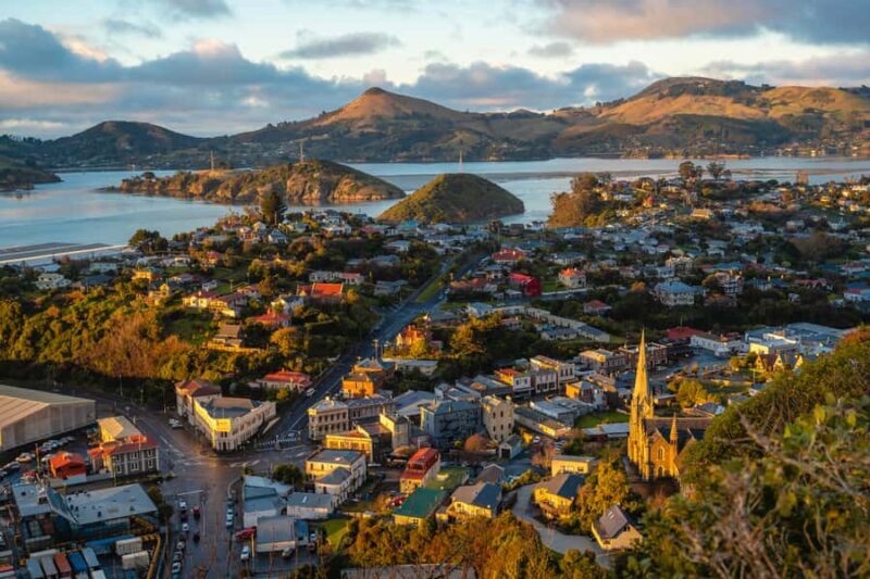 Dunedin: Scenic Railway Tour of Otago's Coastline - Practical Details: Pricing, Duration, and Accessibility