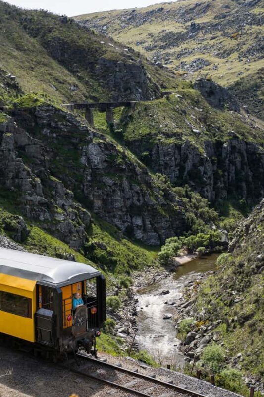 Dunedin: Scenic Railway Tour Through the Taieri Gorge - The Sum Up: Who Should Take This Tour?