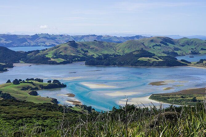 Dunedin Shore Excursion City Sightseeing & Tour of Larnach Castle - Pricing, Value, and Practical Tips