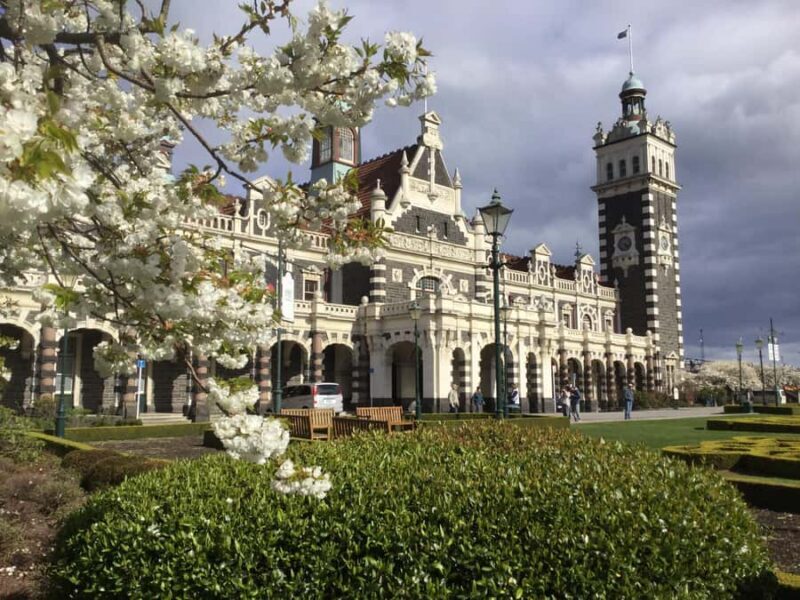 Dunedin: Small Group City Highlights Tour - Key Points