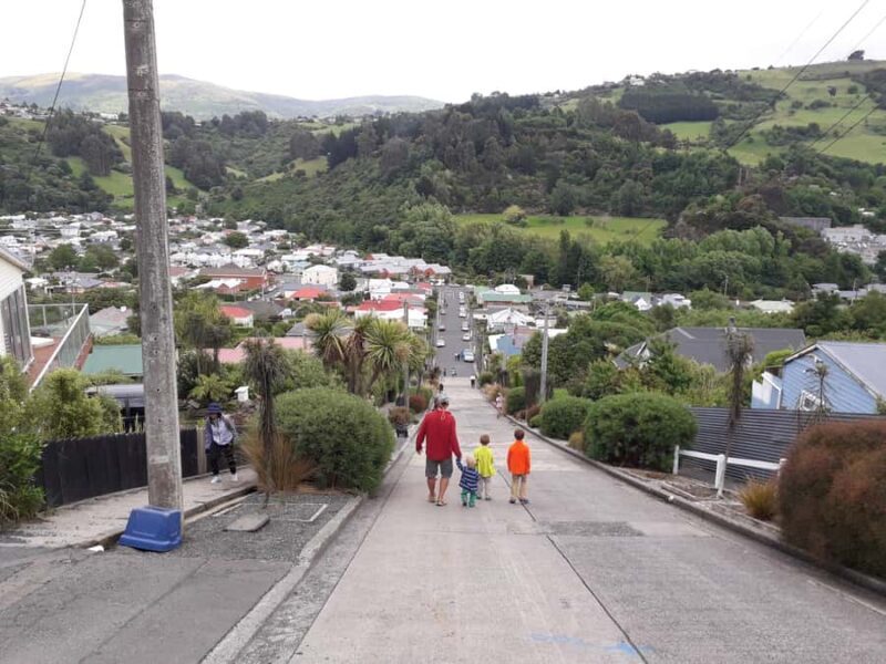 Dunedin: Small Group City Highlights Tour - Why choose a 2-hour city tour of Dunedin?