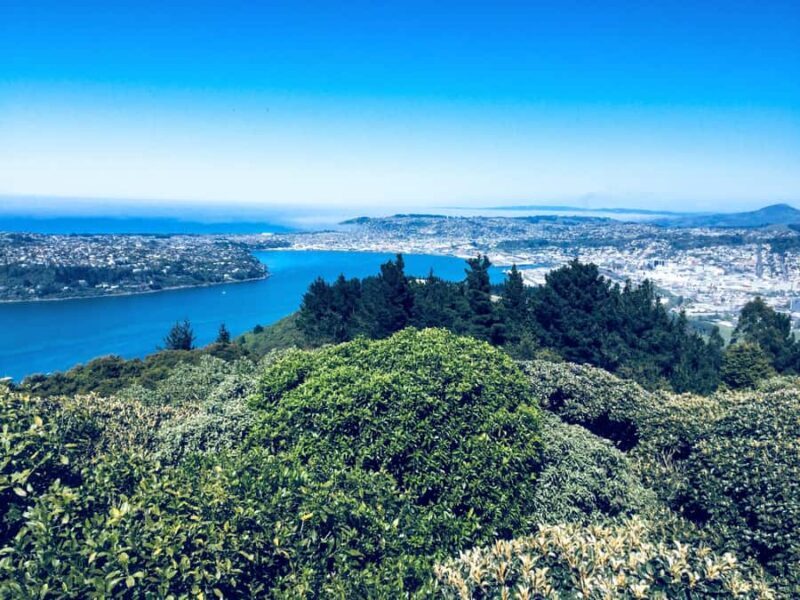 Dunedin: Small Group City Highlights Tour - The Itinerary in Detail