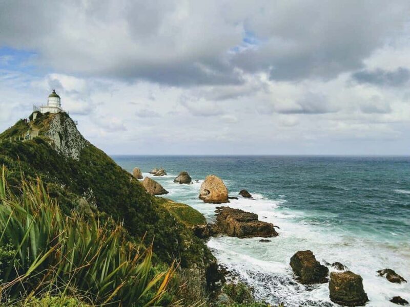Dunedin to Te Anau via The Catlins & Invercargill 1 Way Tour - An In-Depth Look at the Tour Experience