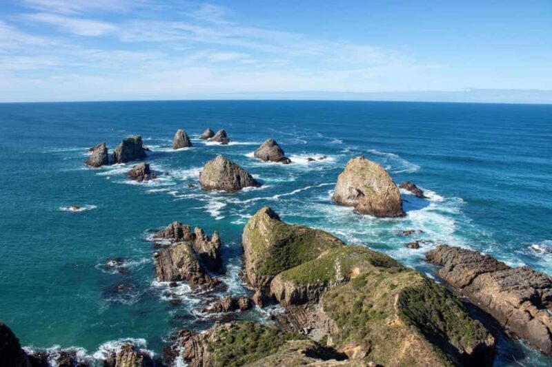 Dunedin to Te Anau via The Catlins & Invercargill 1 Way Tour - FAQ
