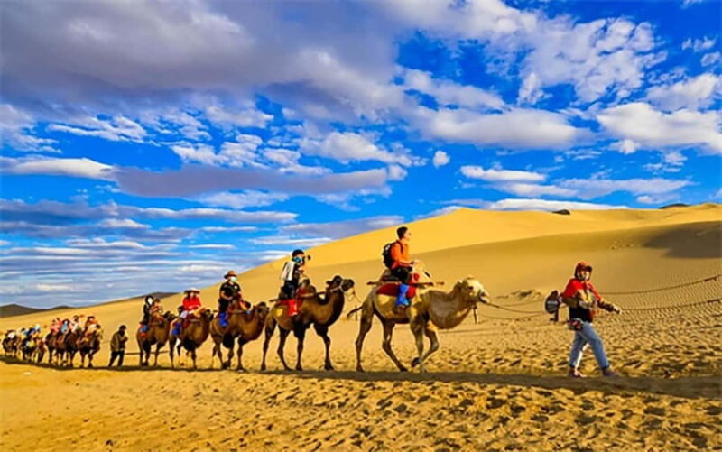 Dunhuang: Mingsha Mountain, Crescent Lake & Museum Tour - What Travelers Are Saying