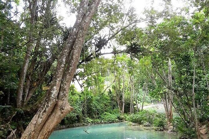Dunn's Falls and Blue Hole Daytrip with Lunch from Montego Bay & Trelawny - Key Points