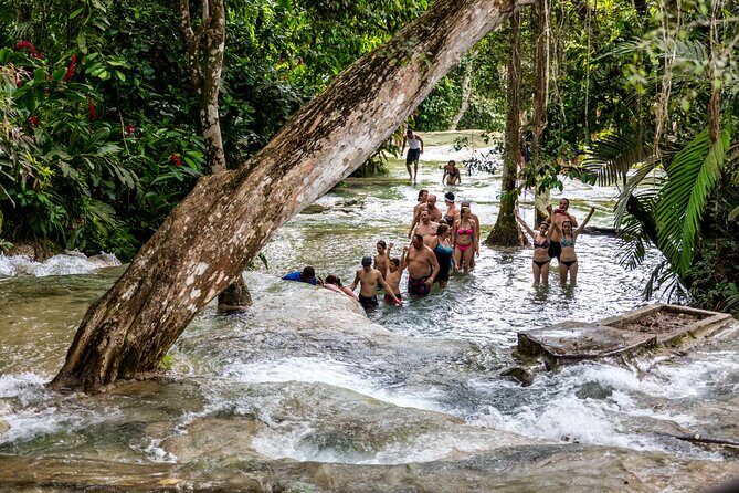 Dunns River & Blue Hole Day Trip with Lunch - Transportation and Timing