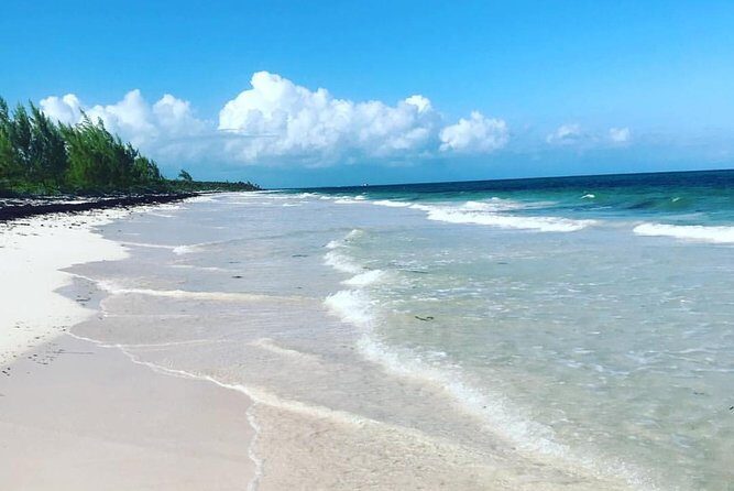 Dunn's River Falls and Beach From Ocho Rios Jamaica - Key Points