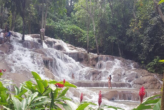 Dunn's River Falls and Beach From Ocho Rios Jamaica - Who Will Love This Tour?