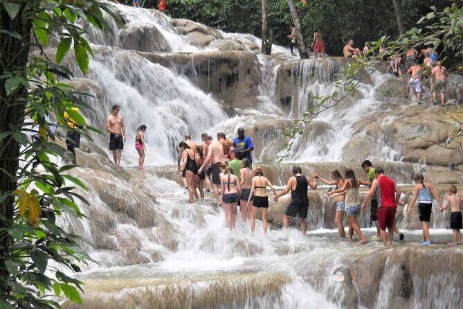 Dunn's River Falls and Horse Back Riding Excursion - An Overview of the Experience