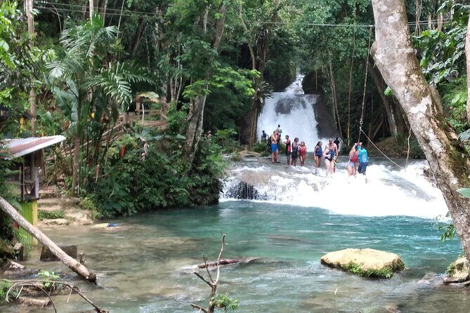 Dunn's River Falls & Blue Hole from Montego Bay or Falmouth - Who Will Love This Tour?