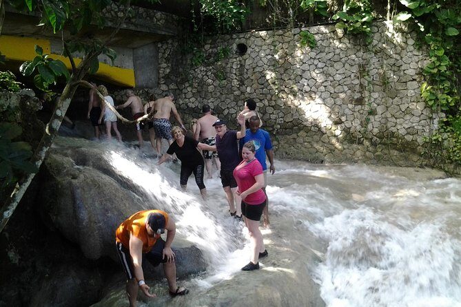 Dunn's River Falls excursion from Montego Bay - Who Should Book This Tour?