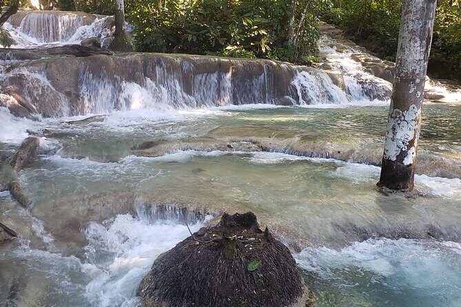 Dunns River Falls Experience from Montego Bay Resorts - An In-Depth Look at What to Expect